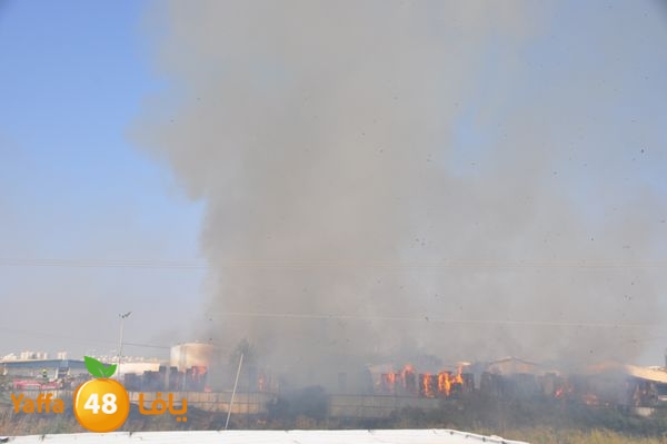 firecartoonsecnd506 (26).JPG